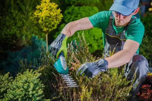 landscaping services Battlefield